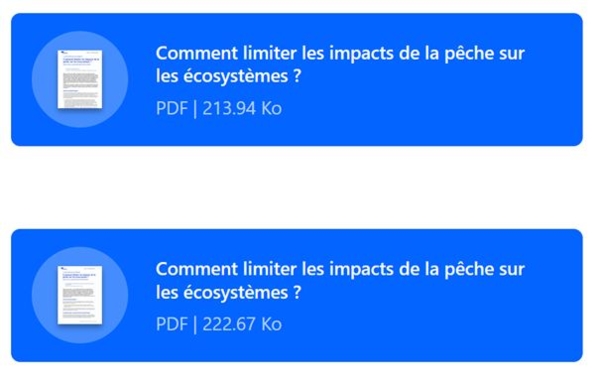 Impact pêche